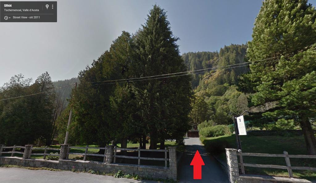 Hotel Villa Tedaldi Gressoney-Saint-Jean Esterno foto